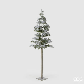 PINHEIRO COM NEVE TRONCO LONGO